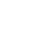 icon-shop